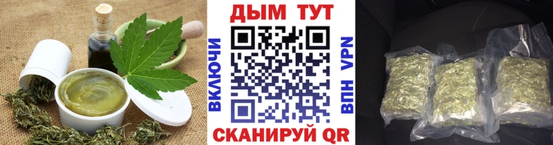 где купить наркотик  Черкесск  Cannafood конопля 