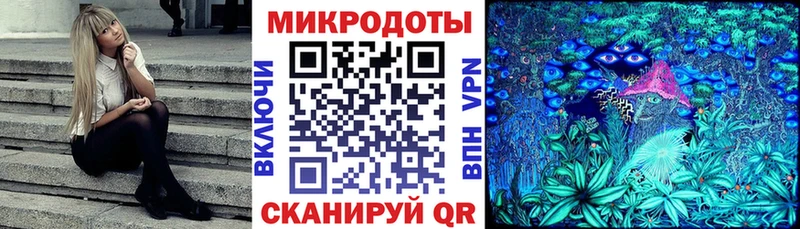 Псилоцибиновые грибы Psilocybine cubensis  Черкесск 