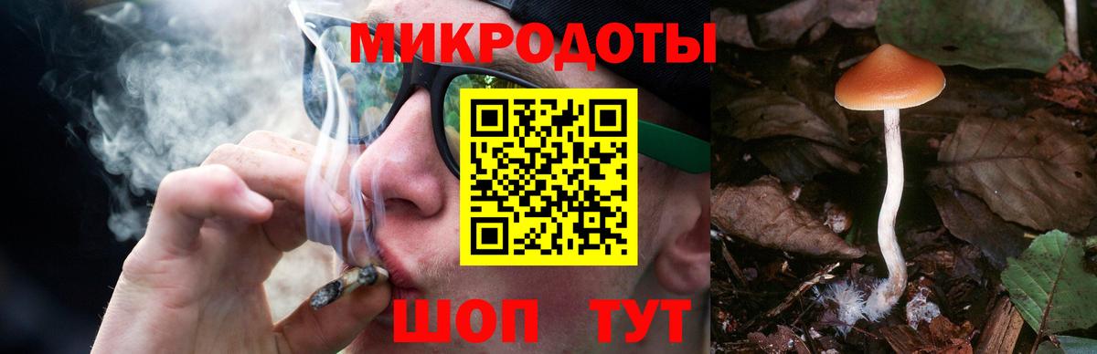 Псилоцибиновые грибы MAGIC MUSHROOMS Черкесск